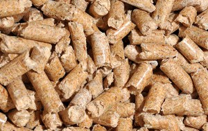 pine pellets